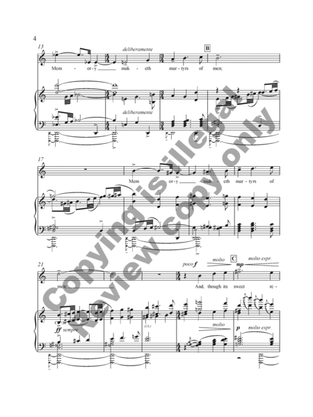 Elegy for Matthew (Piano/Vocal Score) image number null