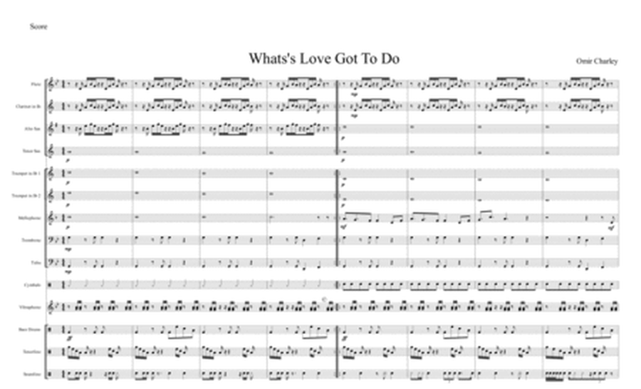 Tina Turner What's Love Got To Do Marching Band Arrangement image number null