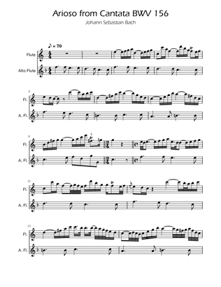Book cover for Arioso BWV 156 - Flute and Alto Flute Duet