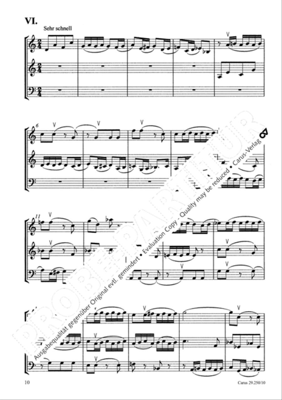 Kleine Trios BoWV 250.1 Performance Score scores gallery preview page 13