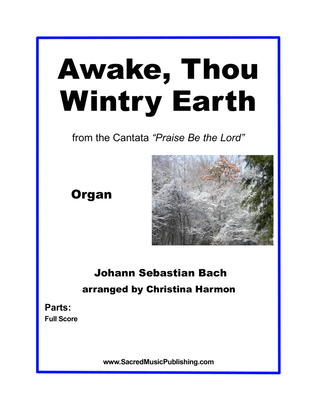 Book cover for Awake Thou Wintry Earth - Organ