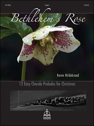 Bethlehem's Rose