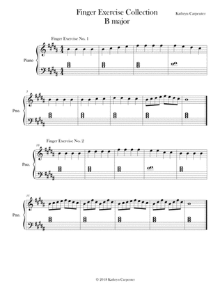 Finger Exercise Collection (24 exercises in B major)