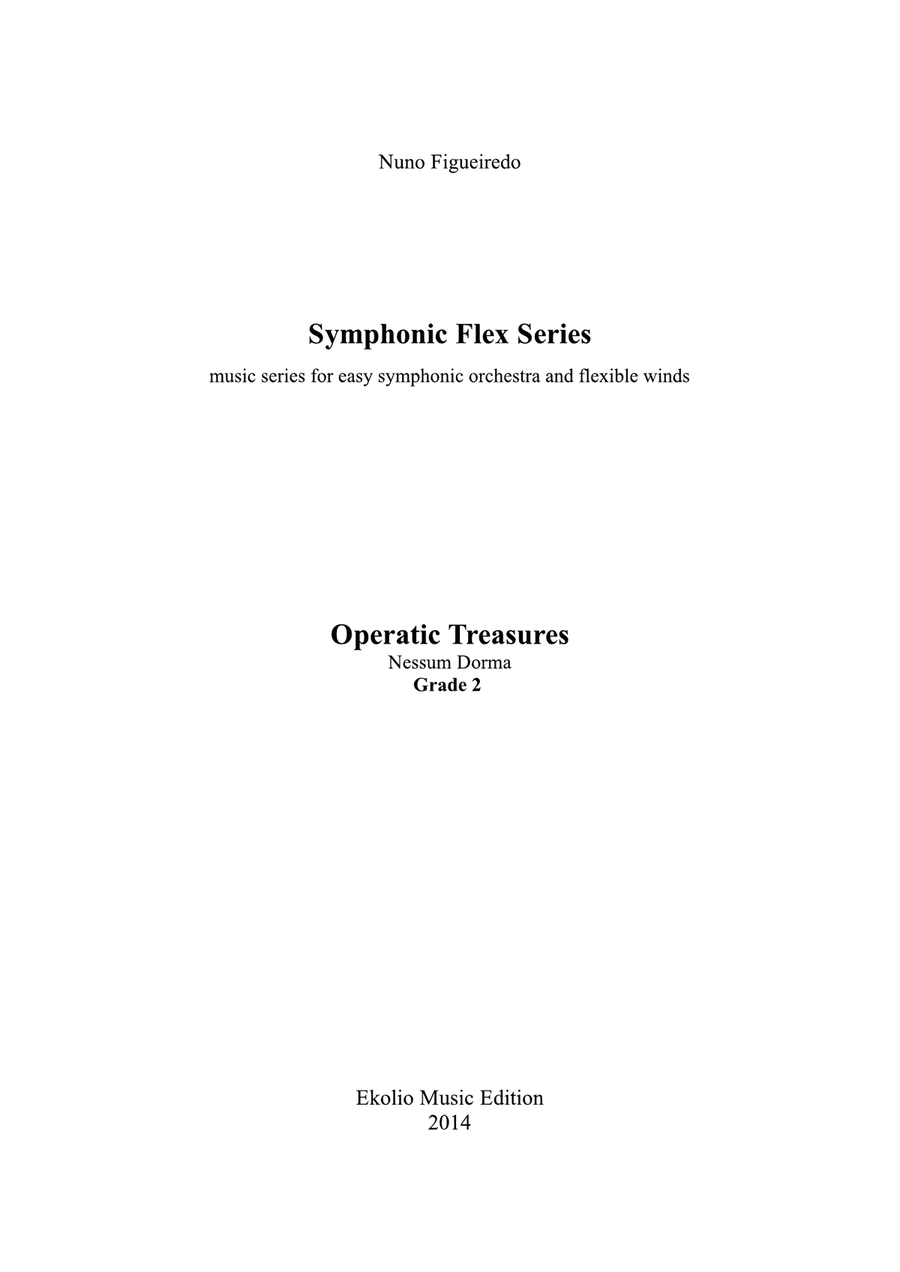 Nessun dorma Chamber Orchestra scores gallery preview page 1