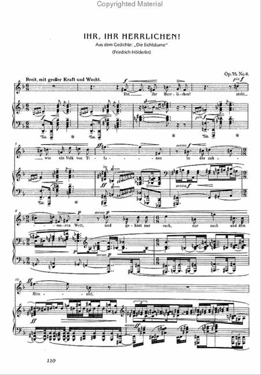 Blick in die Lieder Choir scores gallery preview page 2