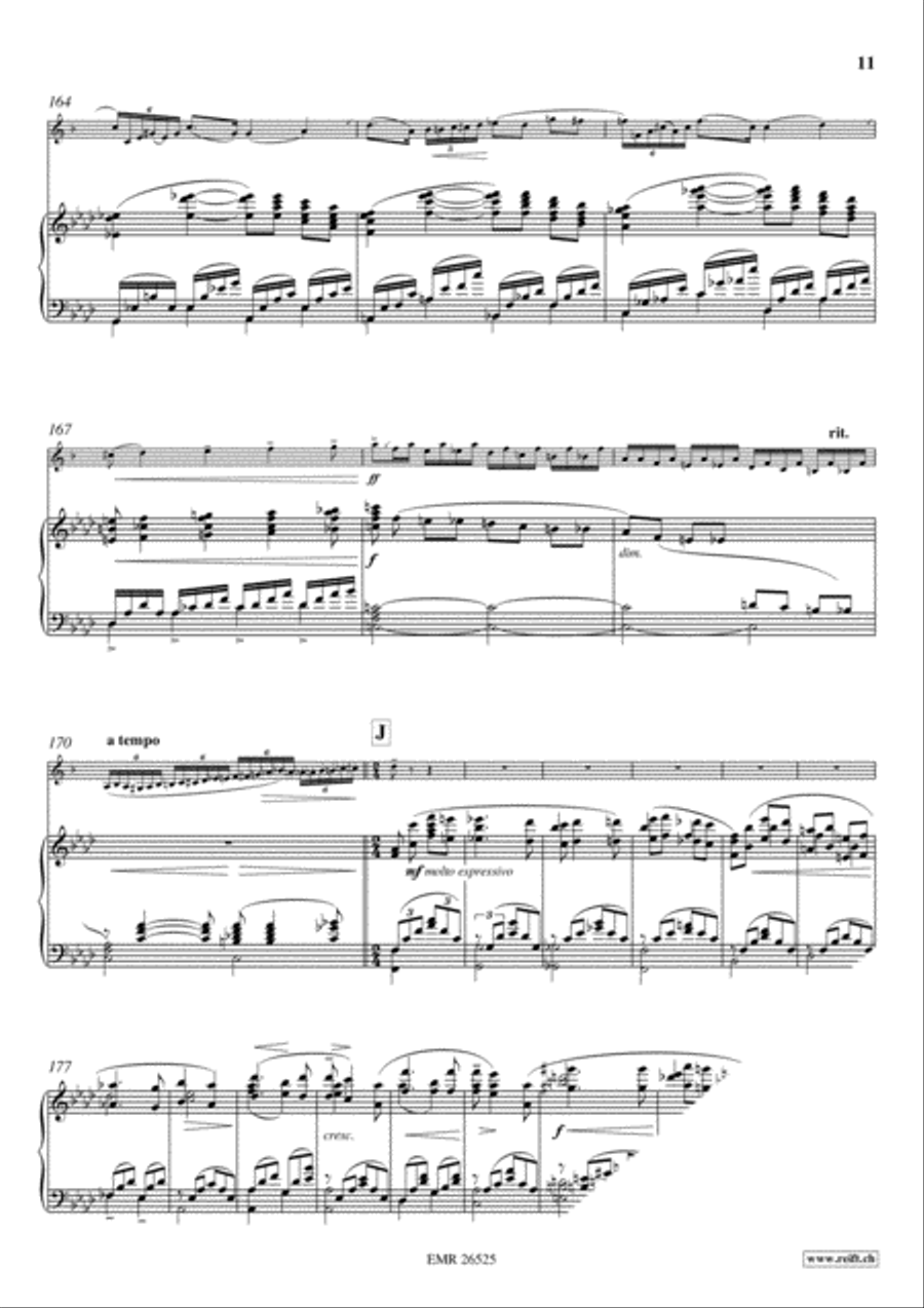 Konzert No. 1 c-moll Horn scores gallery preview page 11