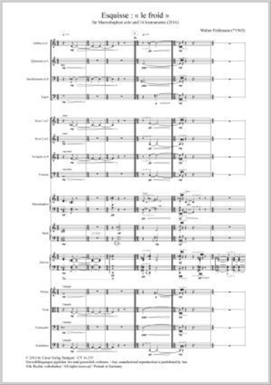 Esquisse: le froid Orchestra scores gallery preview page 1