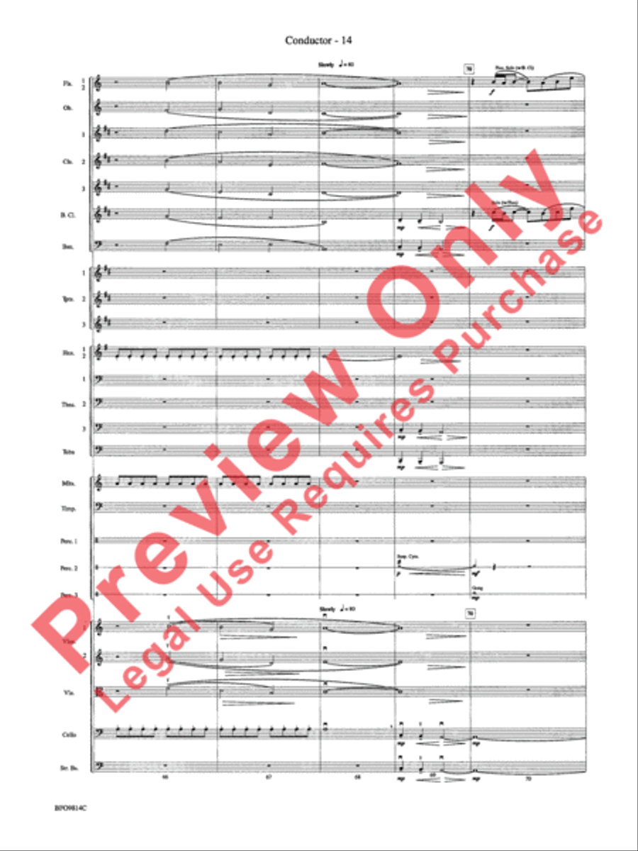 Into the Storm Full Orchestra scores gallery preview page 17