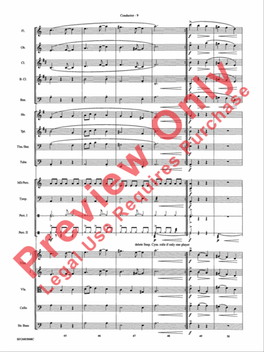 The Second Storm (Ivan) The Second Storm (Ivan) Full Orchestra scores gallery preview page 12