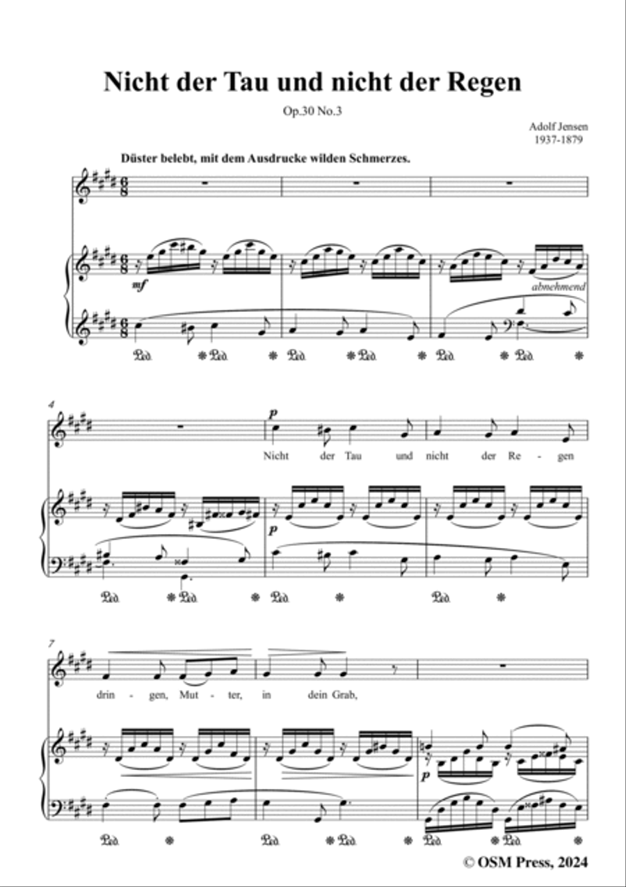 A. Jensen-Nicht der Tau und nicht der Regen,Op.30 No.3,in c sharp minor Voice scores gallery preview page 3