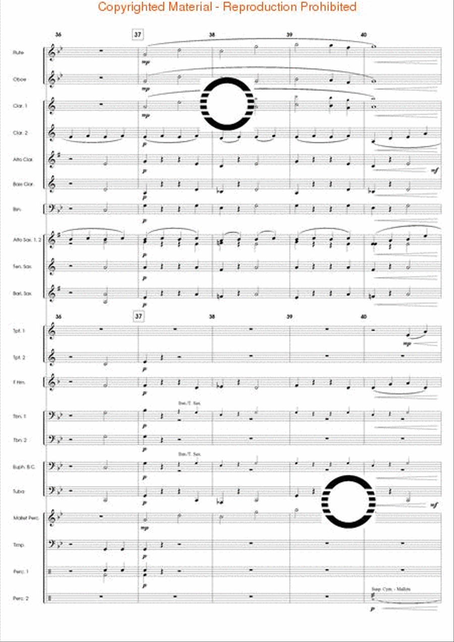 Armada of Freedom Armada of Freedom Concert Band scores gallery preview page 9