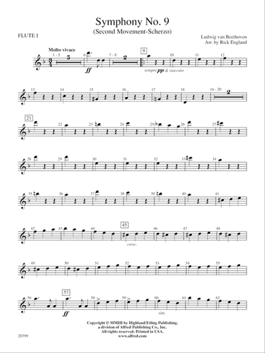 Symphony No. 9 2nd Movement Flute by Ludwig van Beethoven