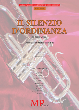 Book cover for IL SILENZIO