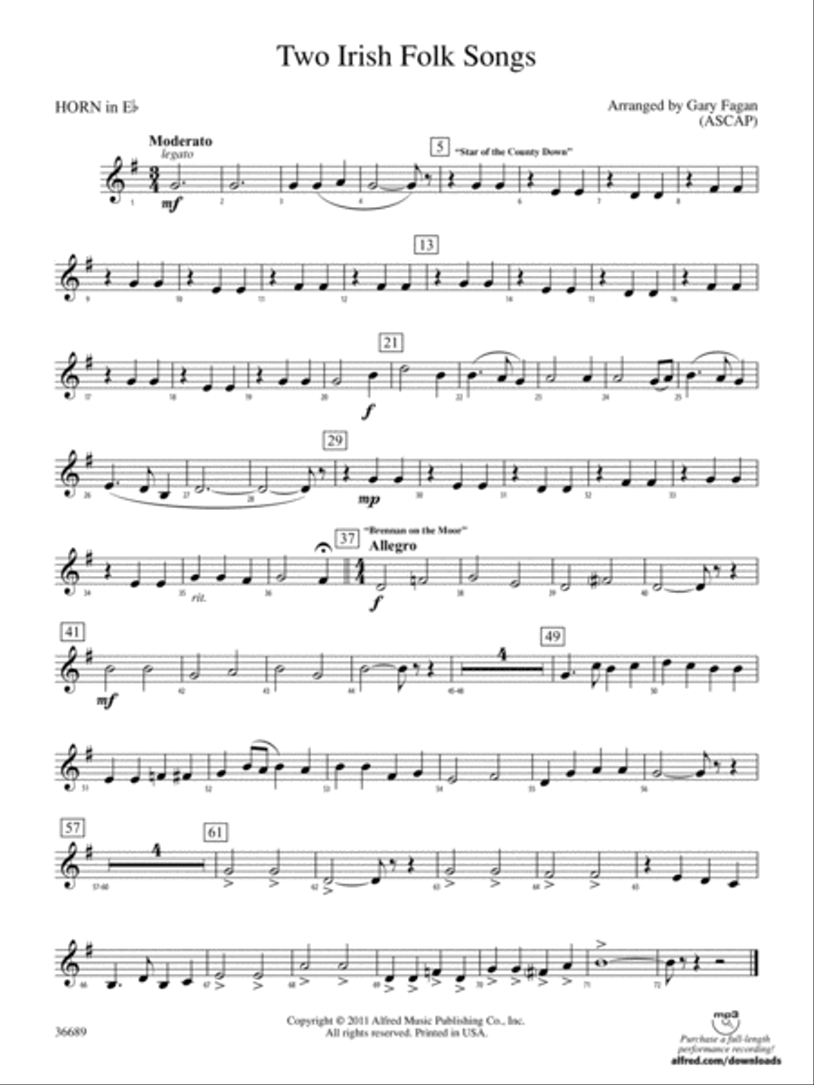 Two Irish Folk Songs: (World Part) 1st Horn in E-flat Concert Band scores gallery preview page 1