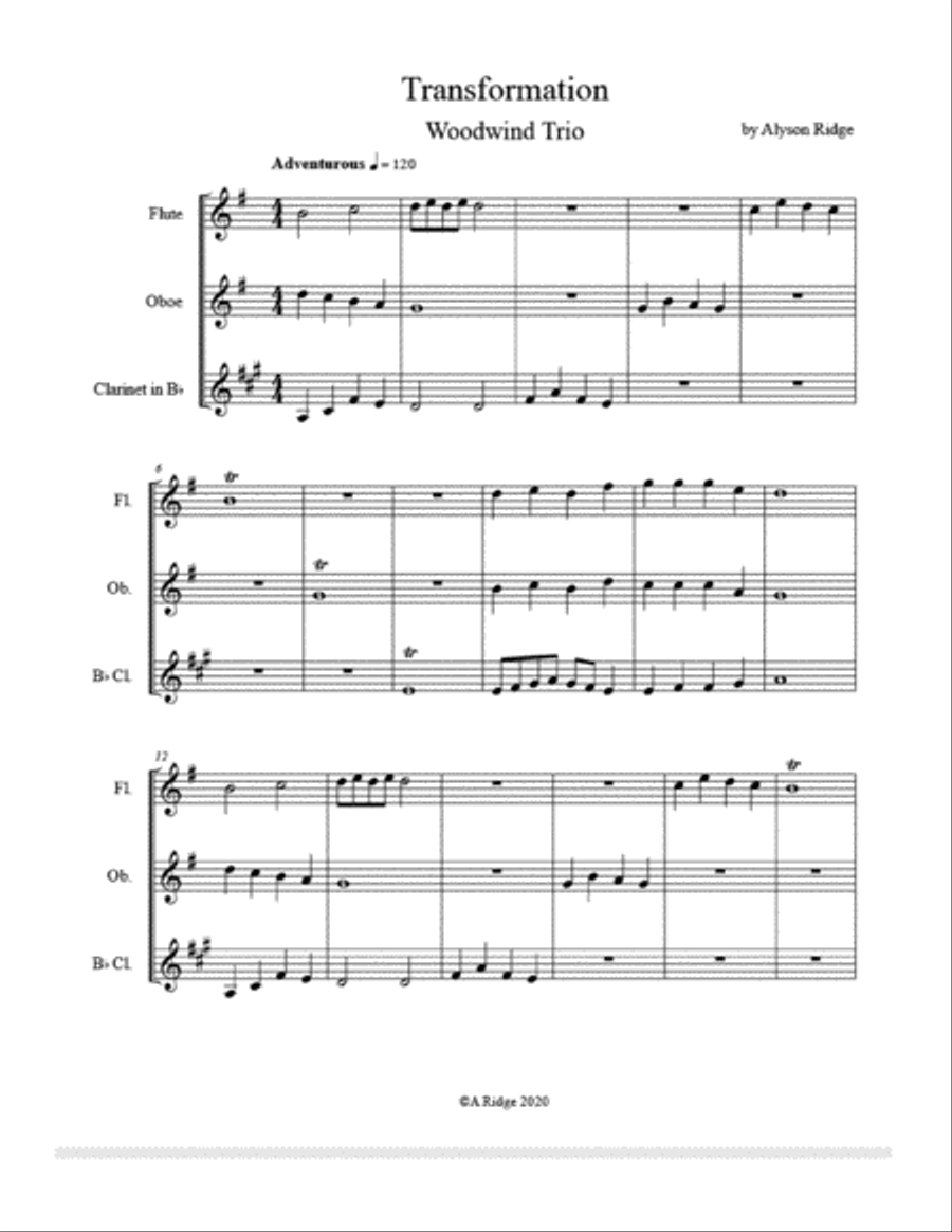 Transformation Transformation Woodwind Trio scores gallery preview page 3