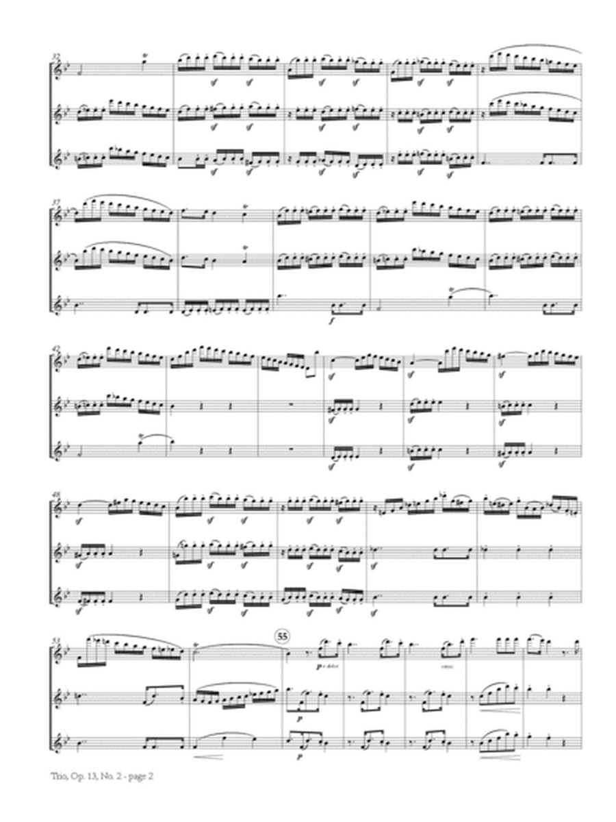 Trio No. 2, Op. 13 for Three Flutes