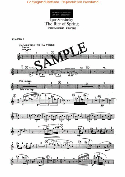 Stravinsky, Bartok, and More - Volume VIII (Flute)