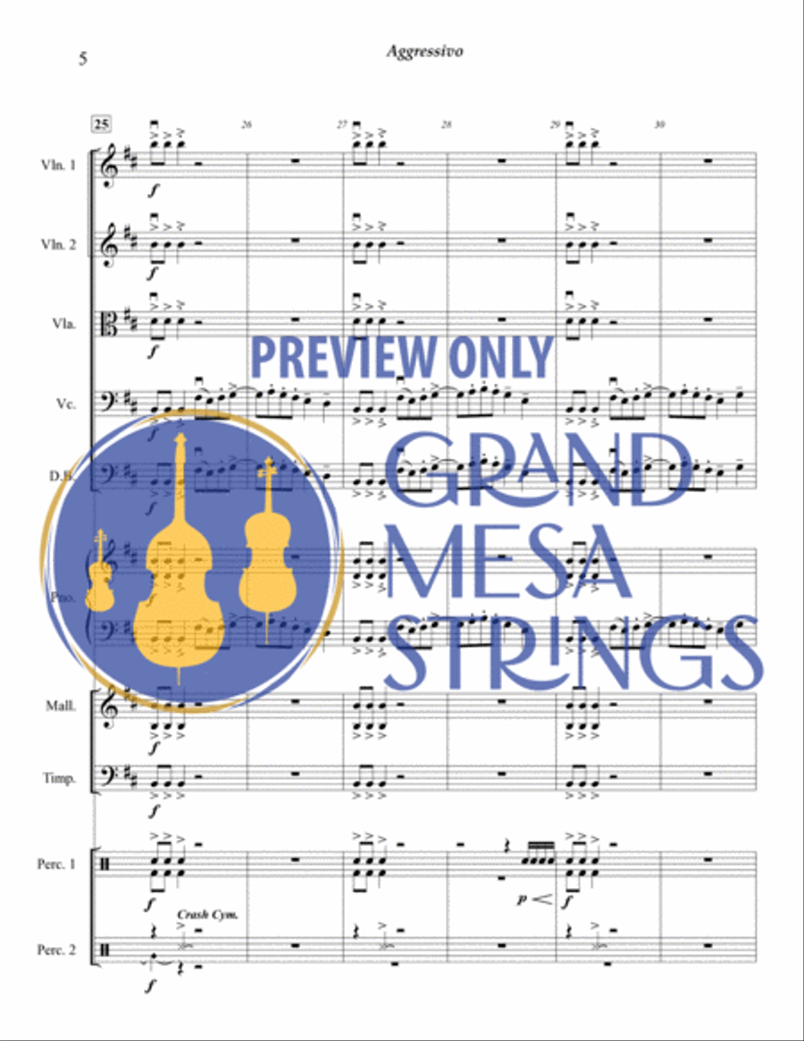 Aggressivo for Strings & Percussion String Orchestra scores gallery preview page 6