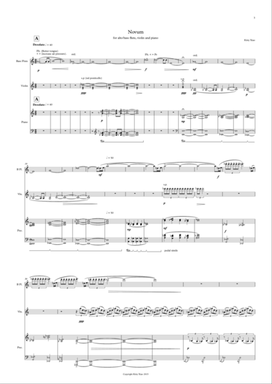 Novum Novum Small Ensemble scores gallery preview page 3
