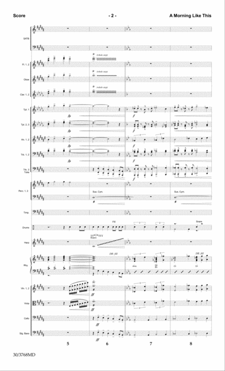 A Morning Like This - Orchestral Score and CD with Printable Parts Choir scores gallery preview page 4
