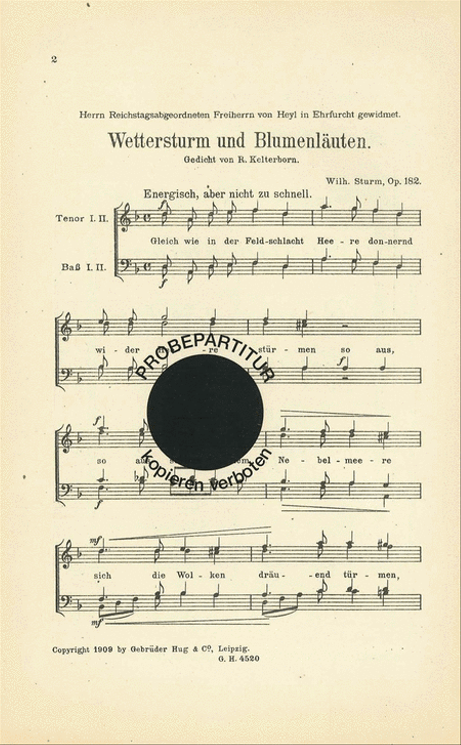 Wettersturm und Blumenlauten Men's Choir scores gallery preview page 1