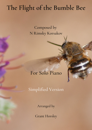 Book cover for "The Flight of the Bumble Bee"-Piano solo-Simplified version