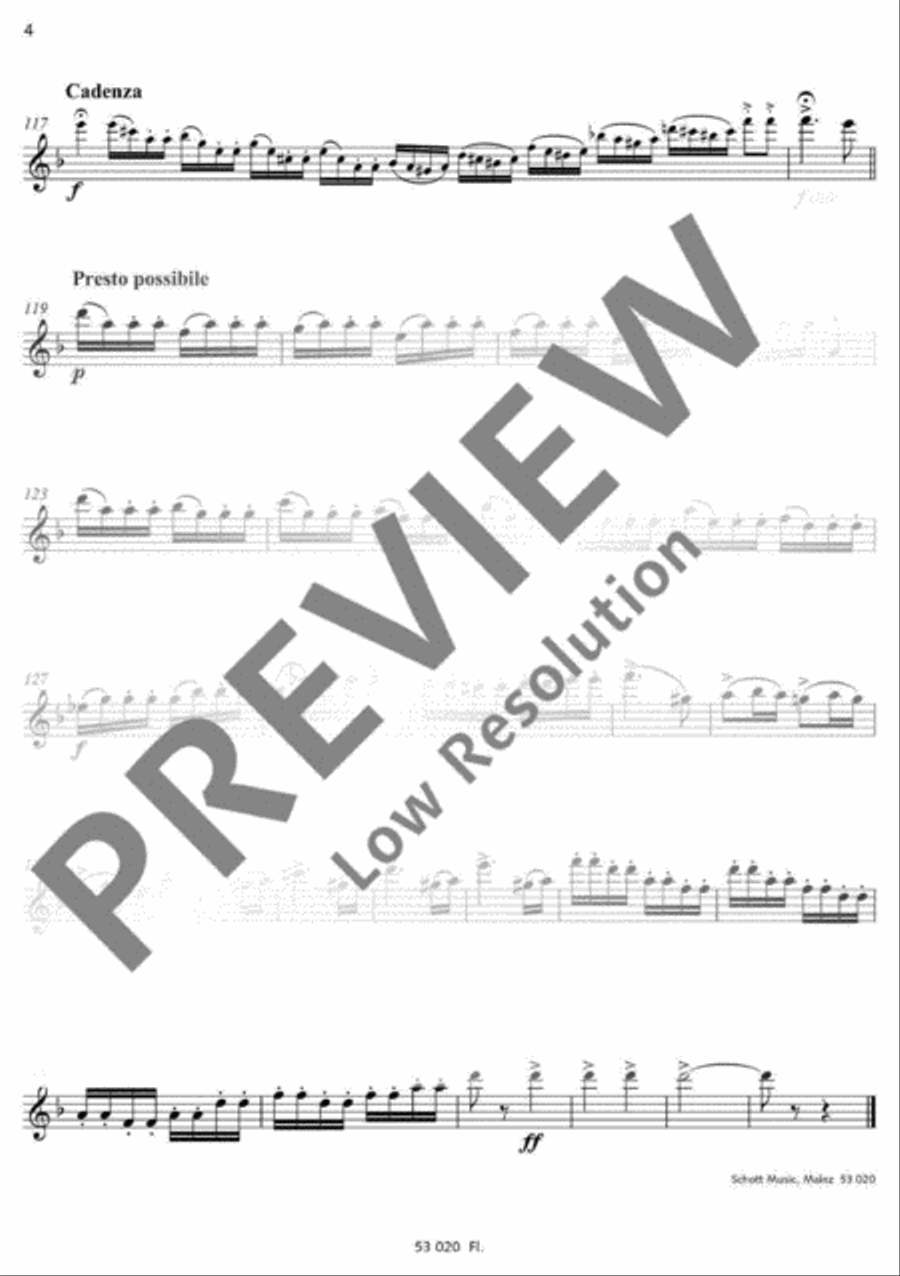 Russian Gypsy Song Flute Solo scores gallery preview page 14