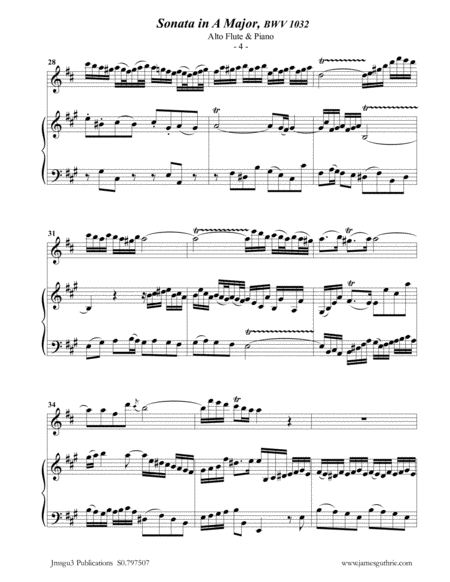 BACH: Sonata BWV 1032 for Alto Flute & Piano image number null