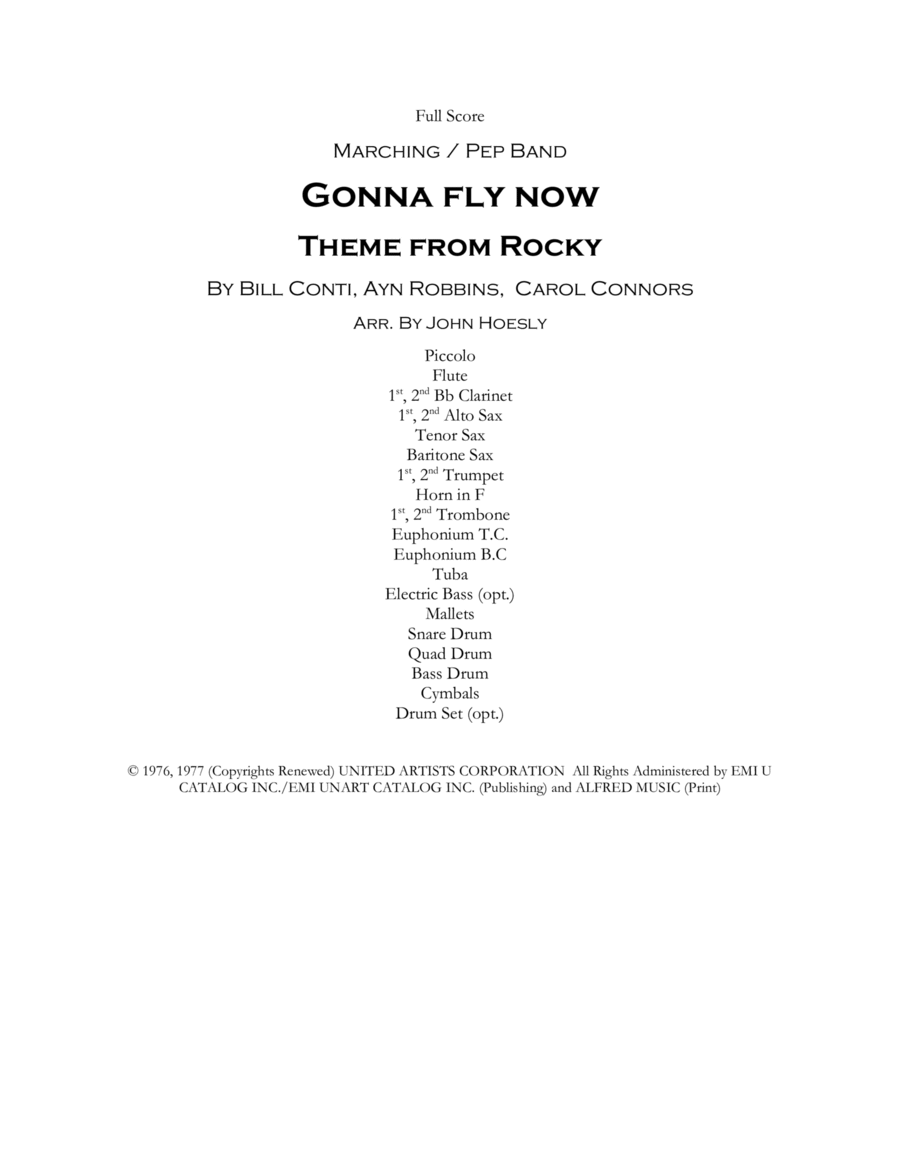 Book cover for Gonna Fly Now