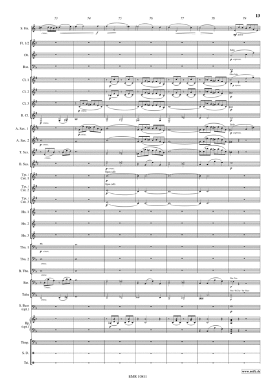 Horn Concerto Concert Band scores gallery preview page 14