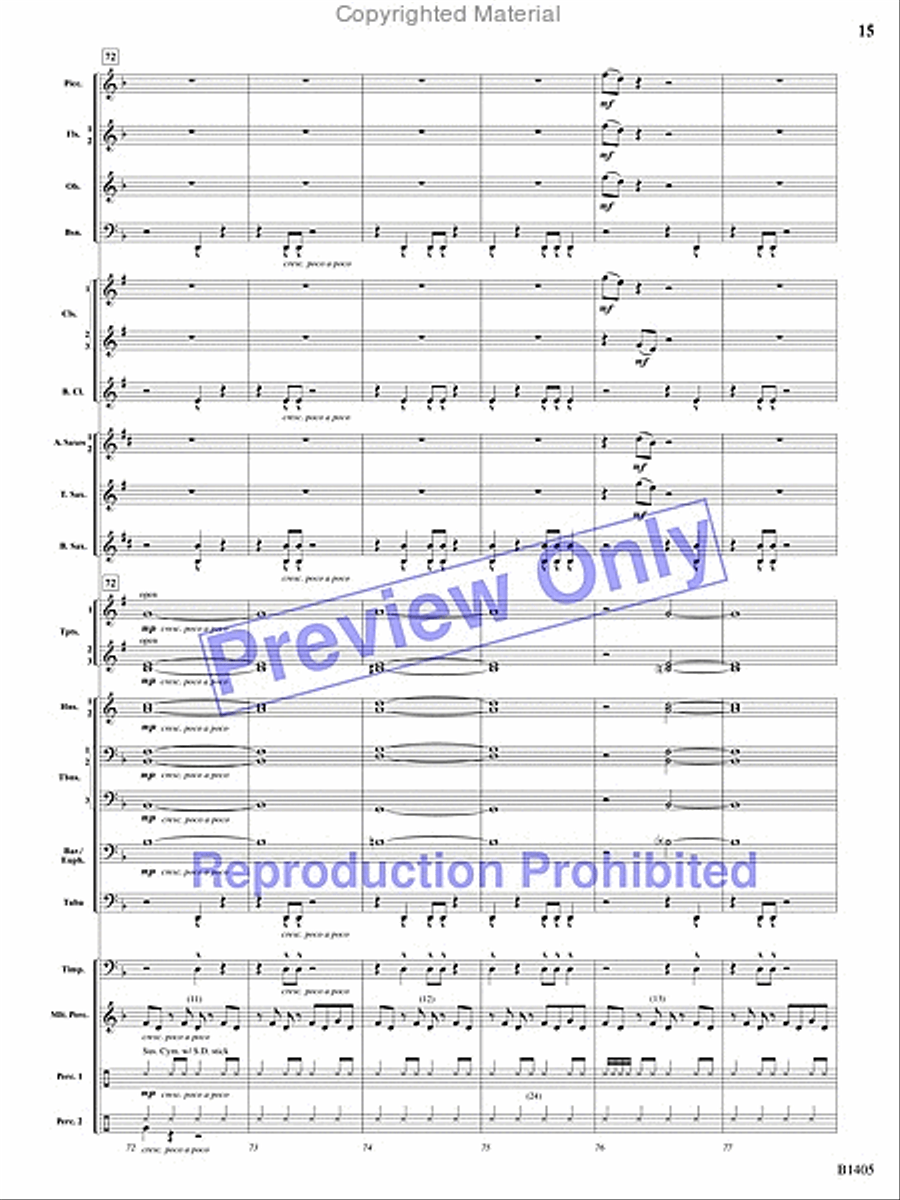 Reverberations Concert Band scores gallery preview page 14