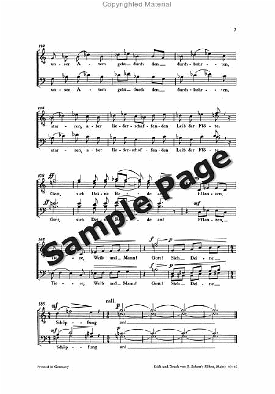 Vom Abenteuer Der Freude Score SSATBB scores gallery preview page 8