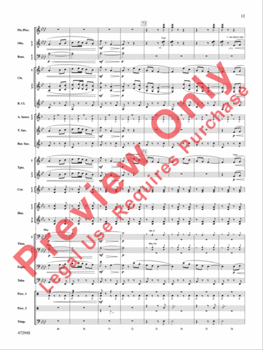 Scossa Elettrica Concert Band scores gallery preview page 13