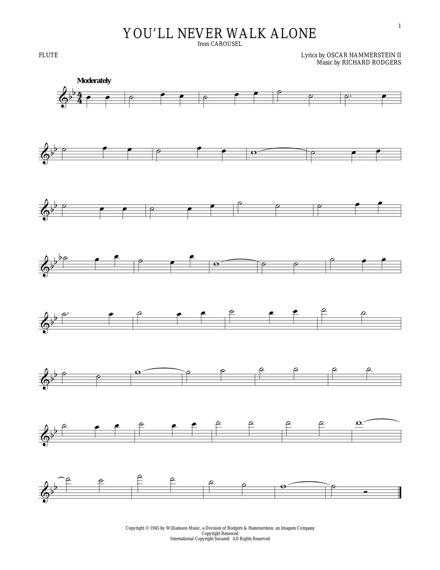 You'll Never Walk Alone (from Carousel) Flute Solo scores gallery preview page 1