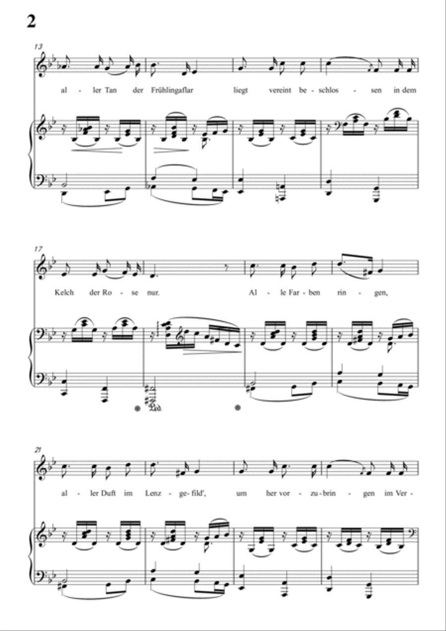 Schumann-Rose,Meer und Sonne in B♭ Major for Voice and Piano Voice Solo scores gallery preview page 3