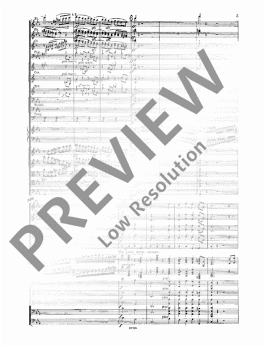 Piano Concerto C Minor Piano Solo scores gallery preview page 10