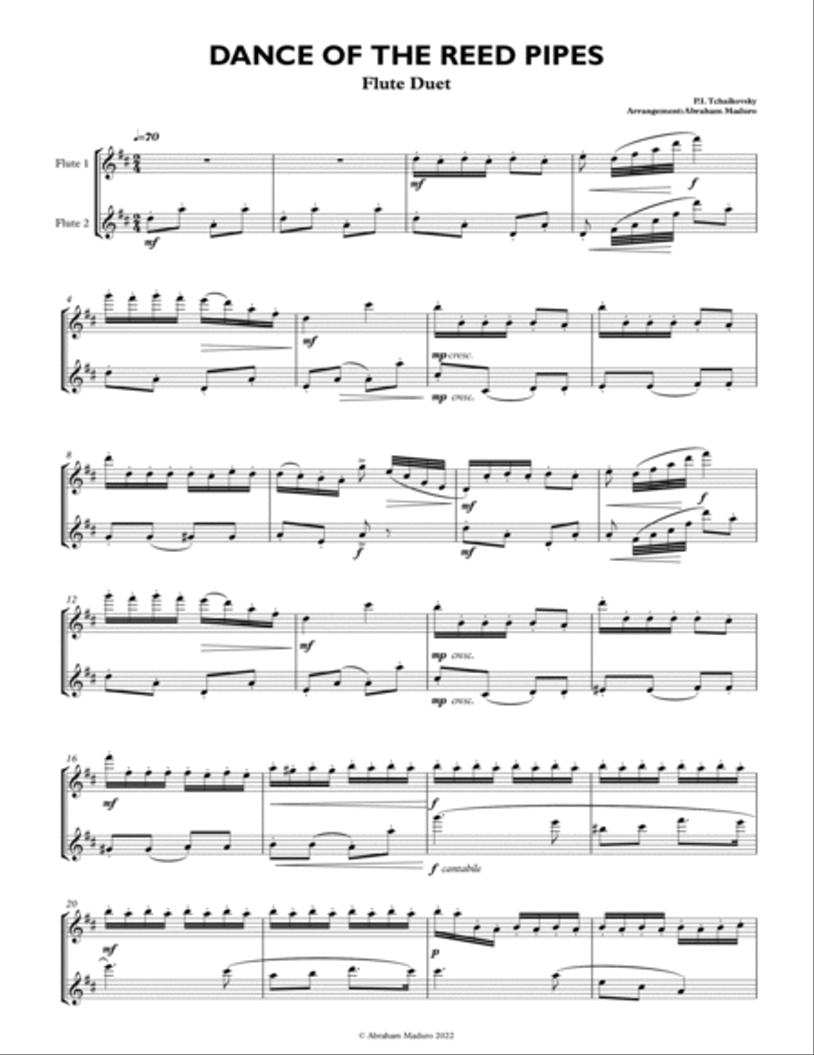 Dance of The Reed Pipes Mirlitons from The Nutcracker Flute Duet