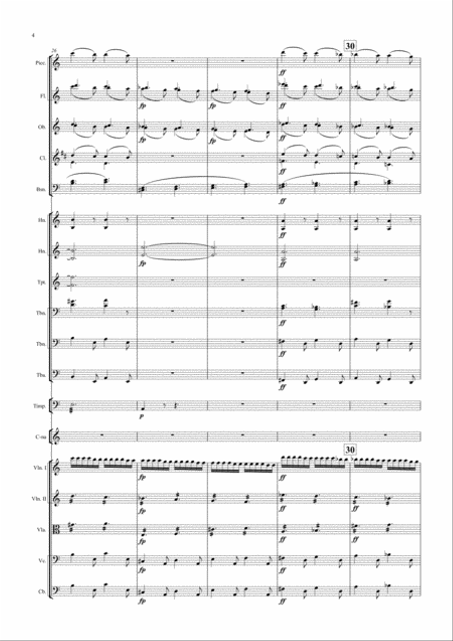 THE STORM Symphonic Picture Full Orchestra scores gallery preview page 4