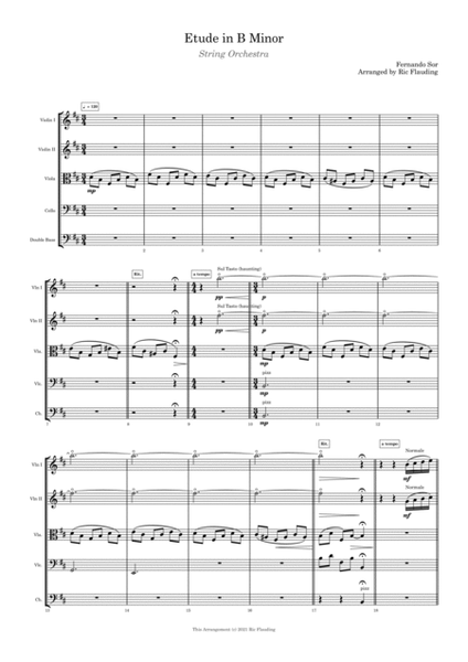 Etude in B Minor (String Orchestra) image number null