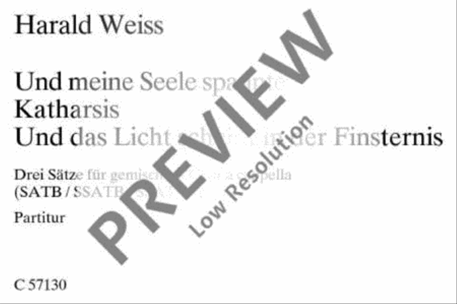 Und meine Seele spannte · Katharsis · Und das Licht scheint in der Finsternis SSATB scores gallery preview page 2