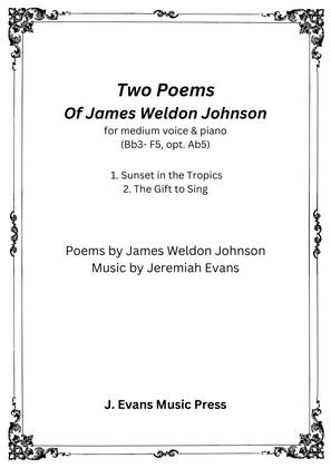 Two Poems of James Weldon Johnson