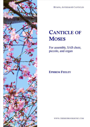 Book cover for Canticle of Moses