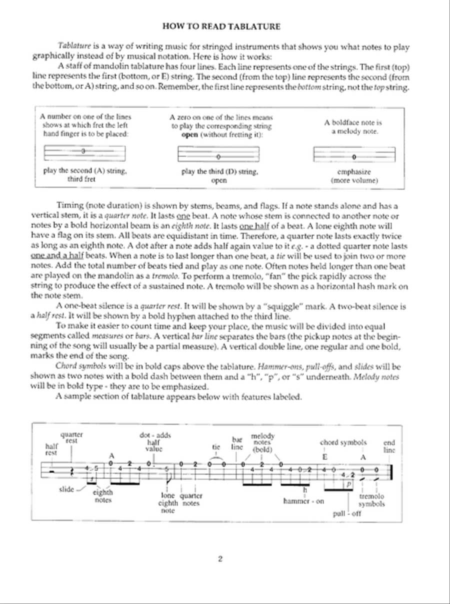 You Can Teach Yourself Mandolin By Ear Mandolin scores gallery preview page 3