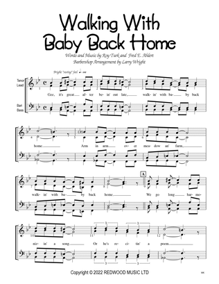 Book cover for Walking My Baby Back Home