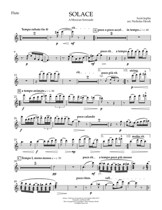 Solace, for Chamber Orchestra (Set of Parts)