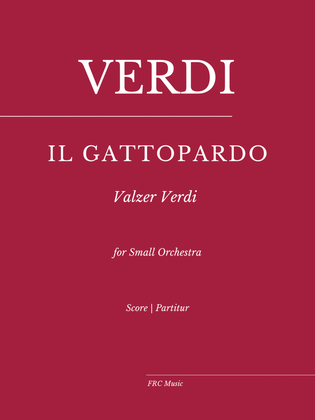 Book cover for Il Gattopardo (Leopard) for Flute, Clarinet in Bb and String Orchestra