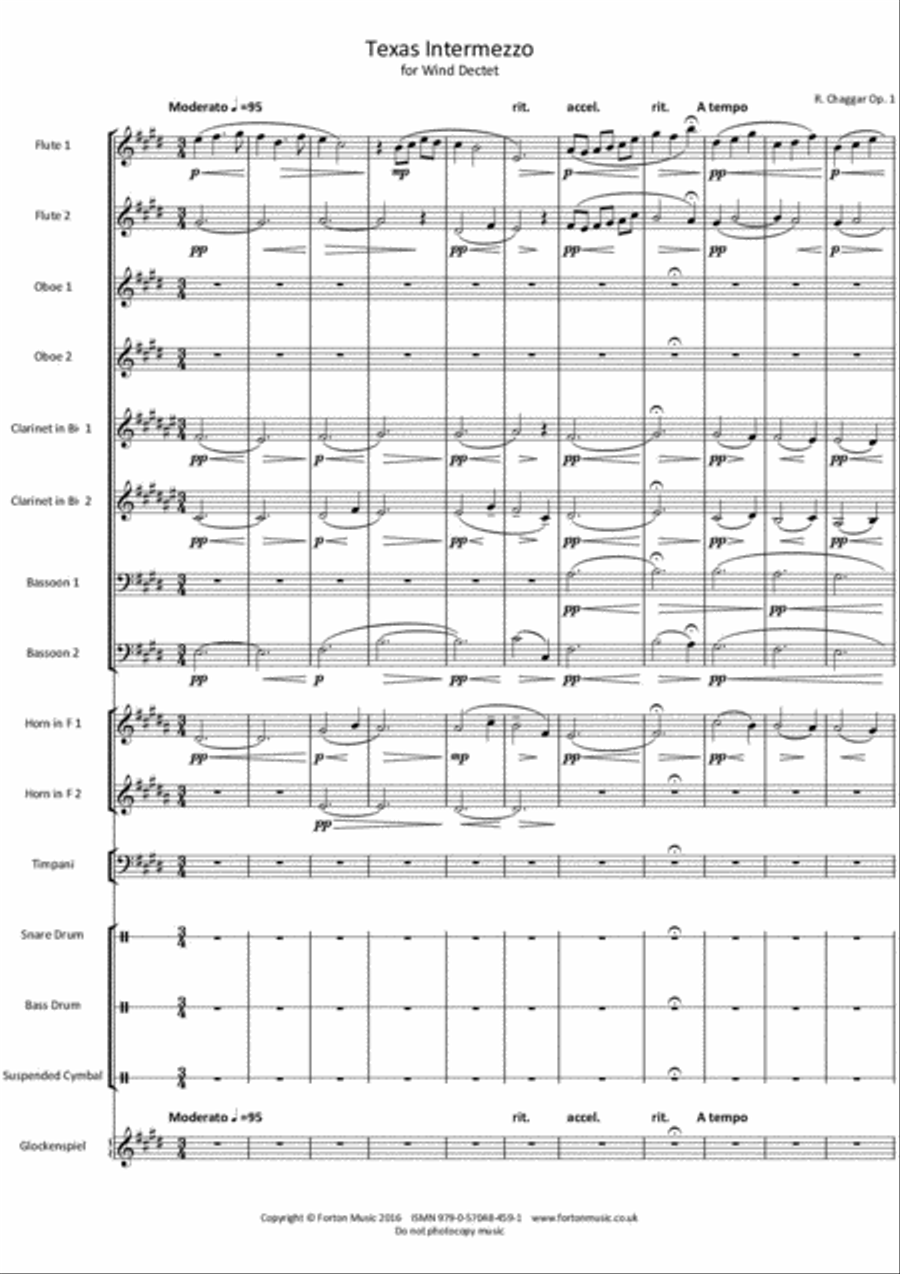 Texas Intermezzo Bassoon scores gallery preview page 2