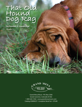 Book cover for That Old Hound Dog Rag