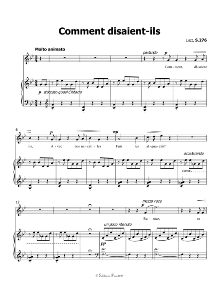 Comment disaient-ils, by Liszt, in g minor