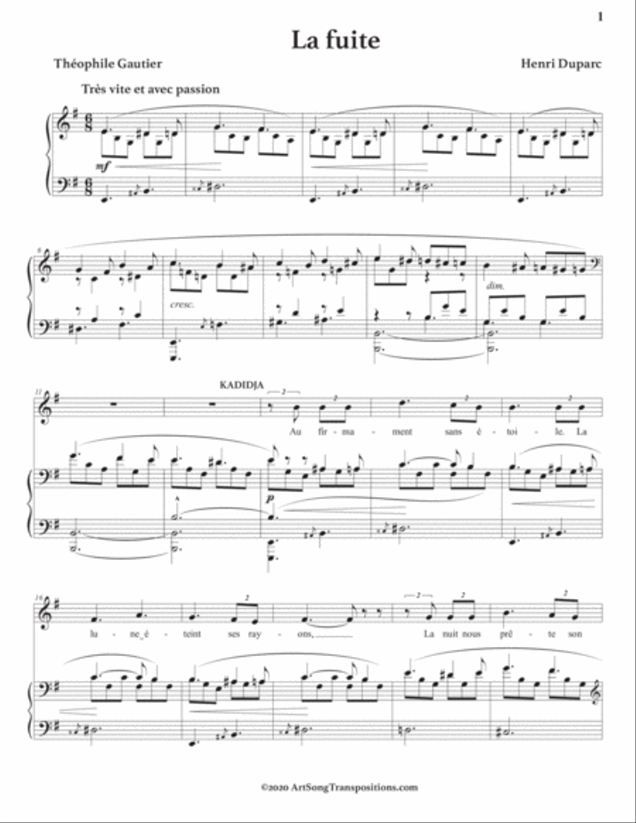 DUPARC: La fuite (transposed to E minor) Piano scores gallery preview page 2